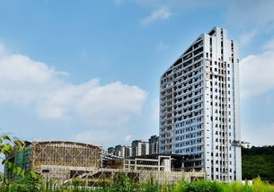 职工之家 结顶 高虹镇仇溪滨水公园开工建设